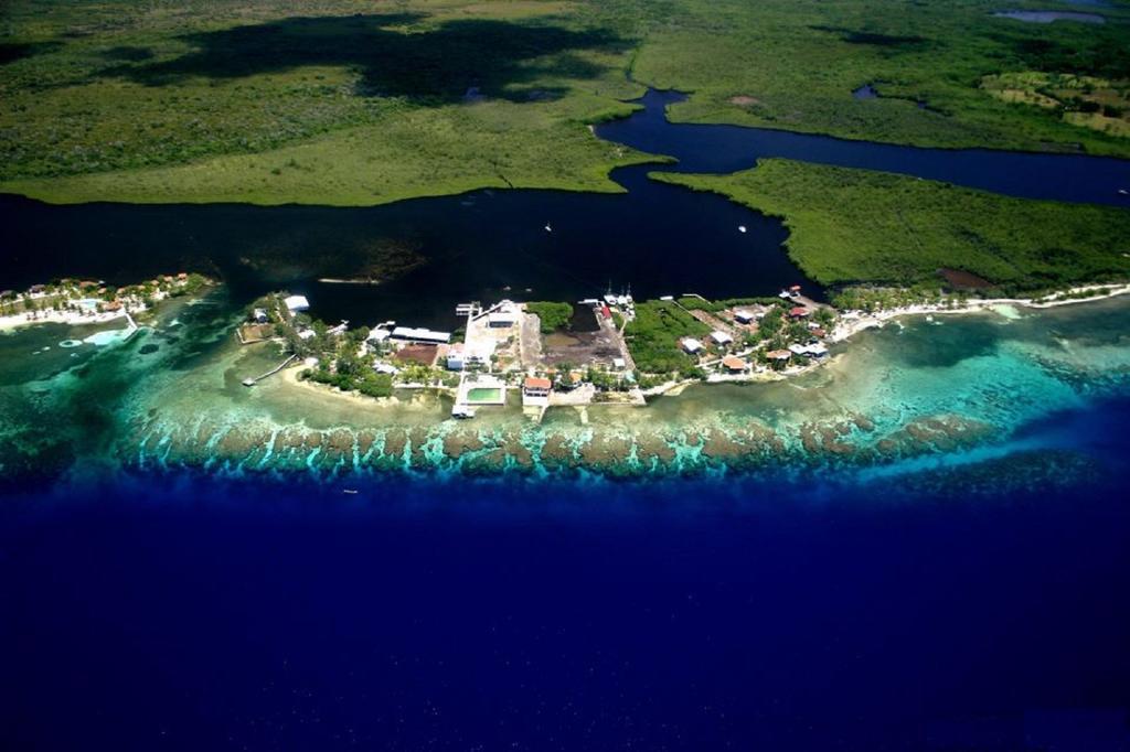 Coral View Beach Resort Utila Exteriör bild