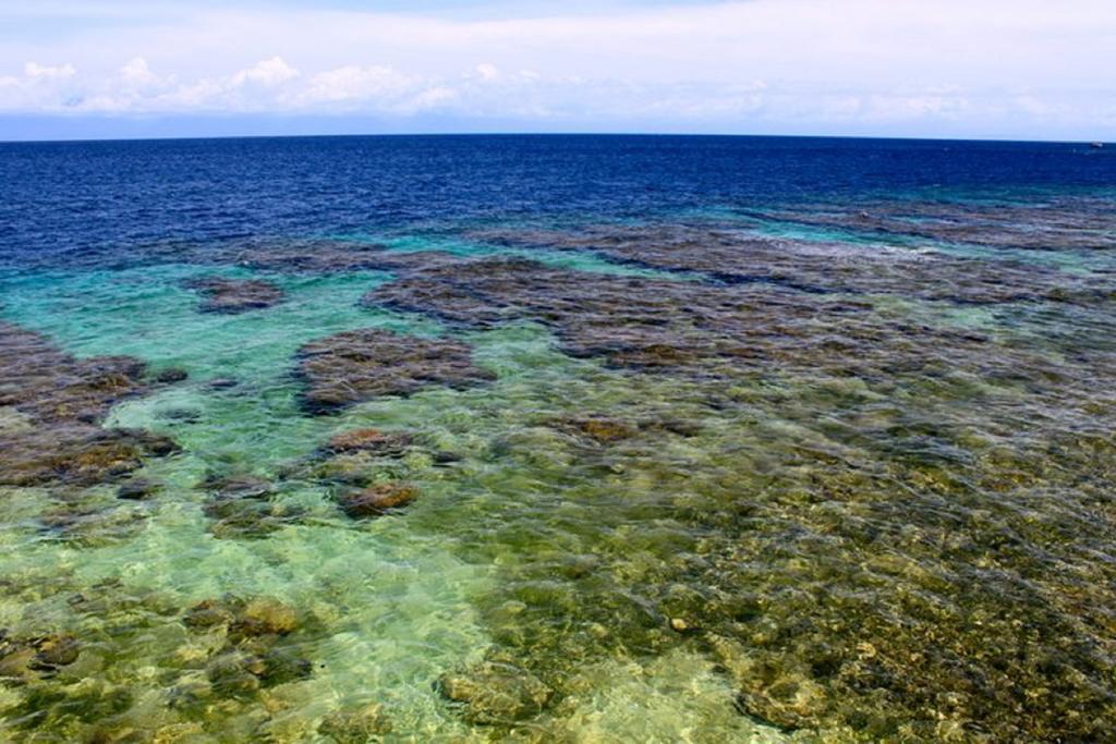 Coral View Beach Resort Utila Exteriör bild